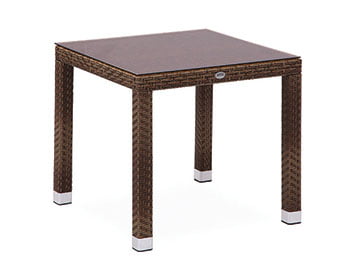 Pilea Sentetik Rattan Masa Takımı